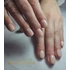 Smartbase Sugar Beige + Click Gel Creamy